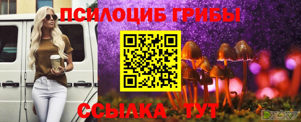 Псилоцибиновые грибы Cubensis Нальчик