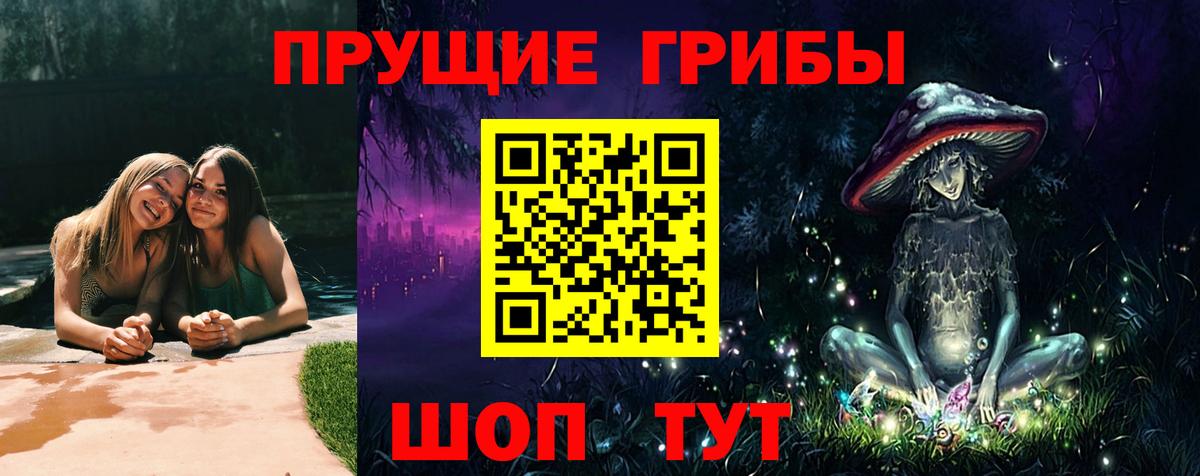 Псилоцибиновые грибы GOLDEN TEACHER  Вход с VPN  Нальчик 